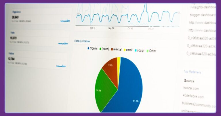 Screenshot of Google Analytics Graphs